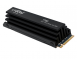 Crucial  T700 NVMe SSD